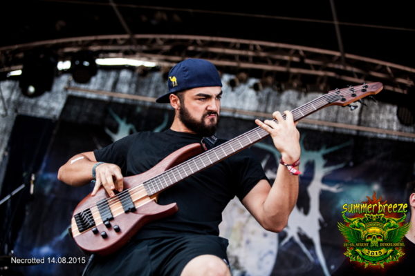 15.00 (CS) NECROTTED