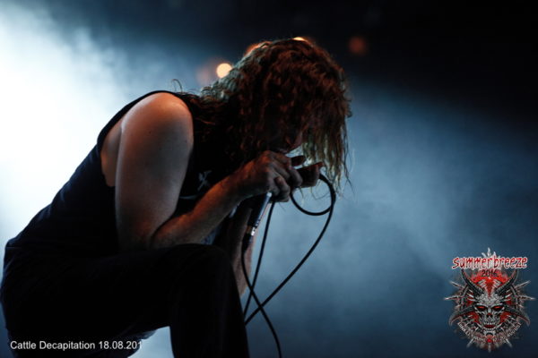 16.45 (TS) CATTLE DECAPITATION