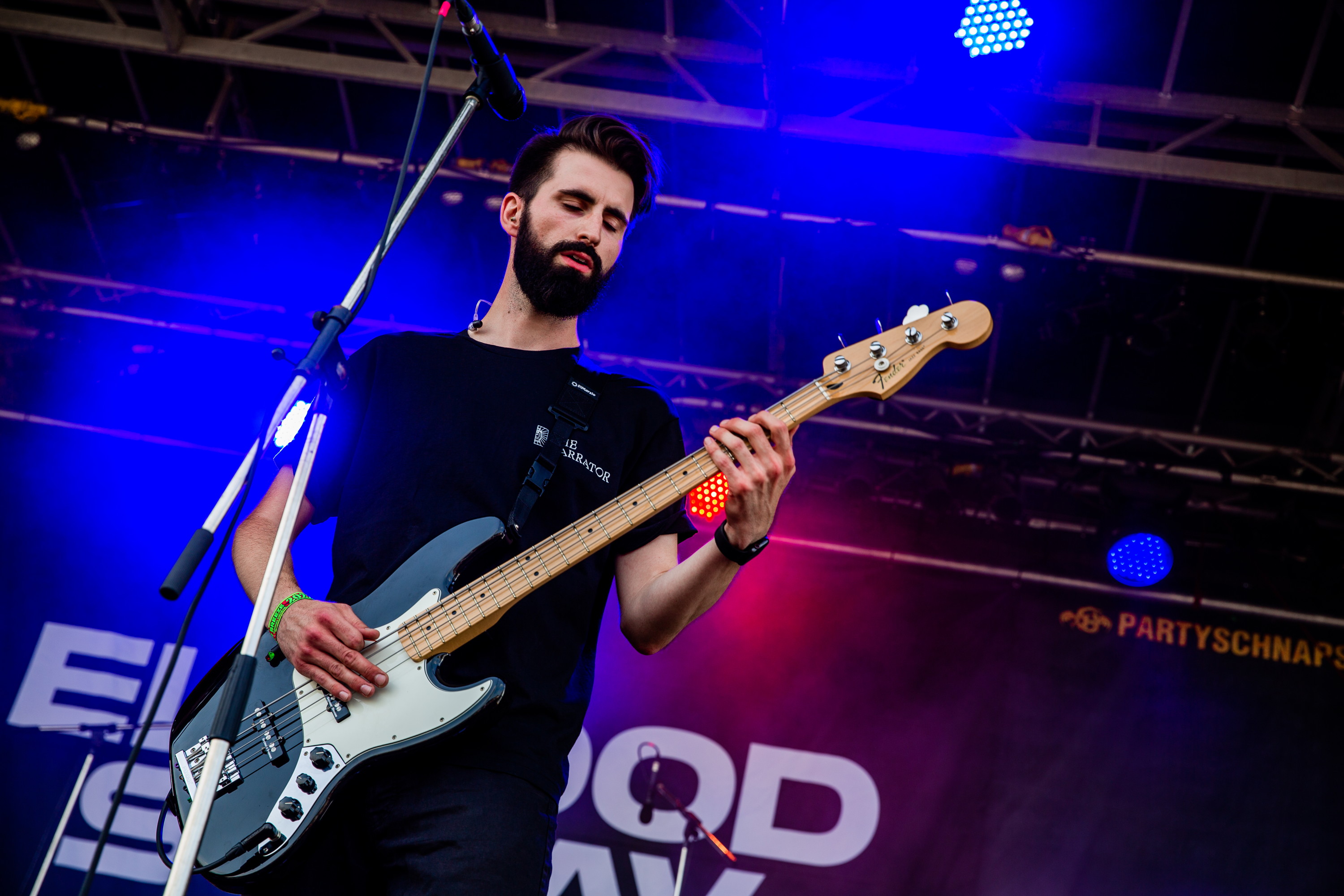 Elwood Stray_20220818_EG_001 Summer Breeze