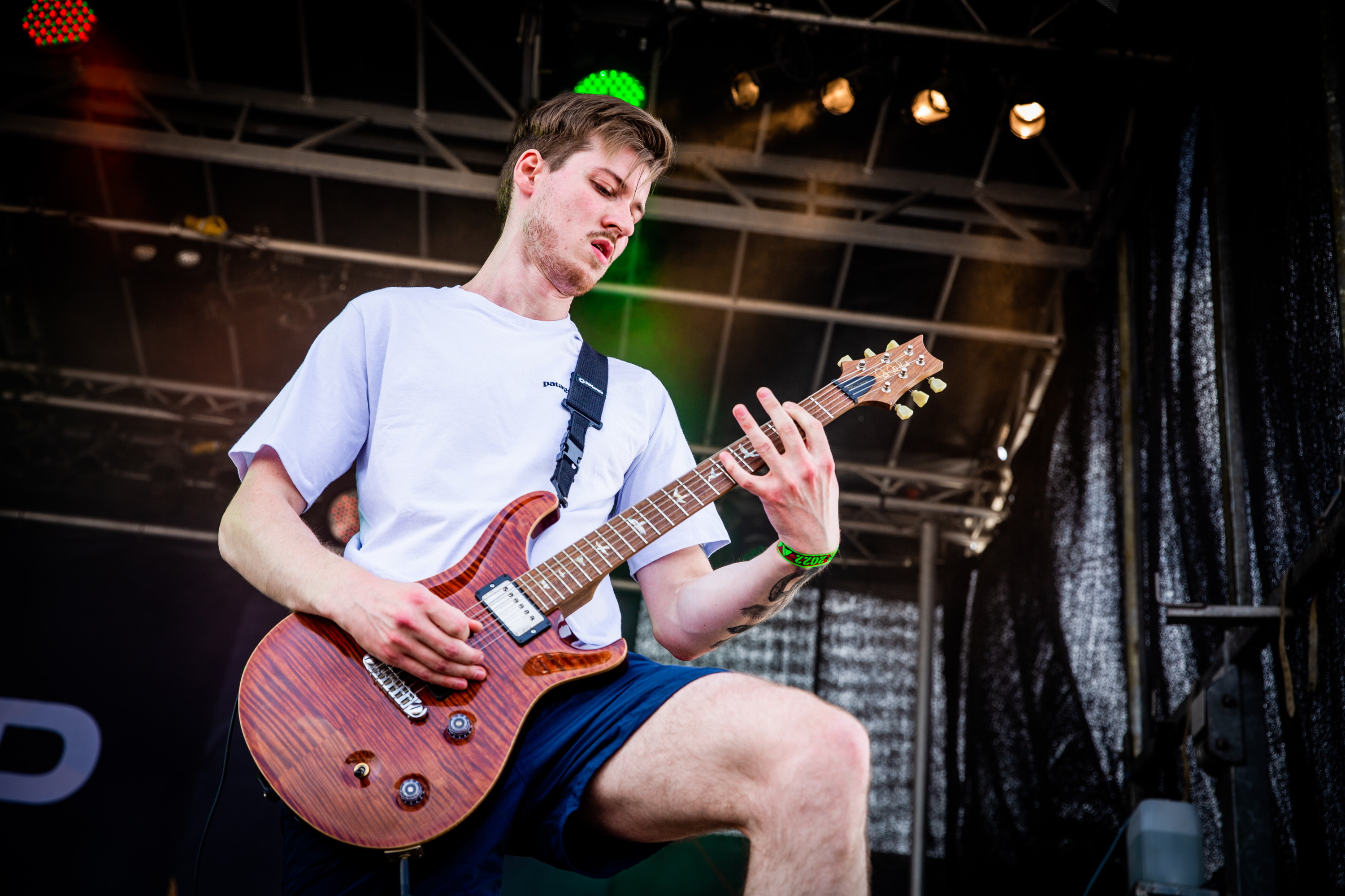 Elwood Stray_20220818_EG_007 Summer Breeze