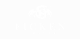 Ficken