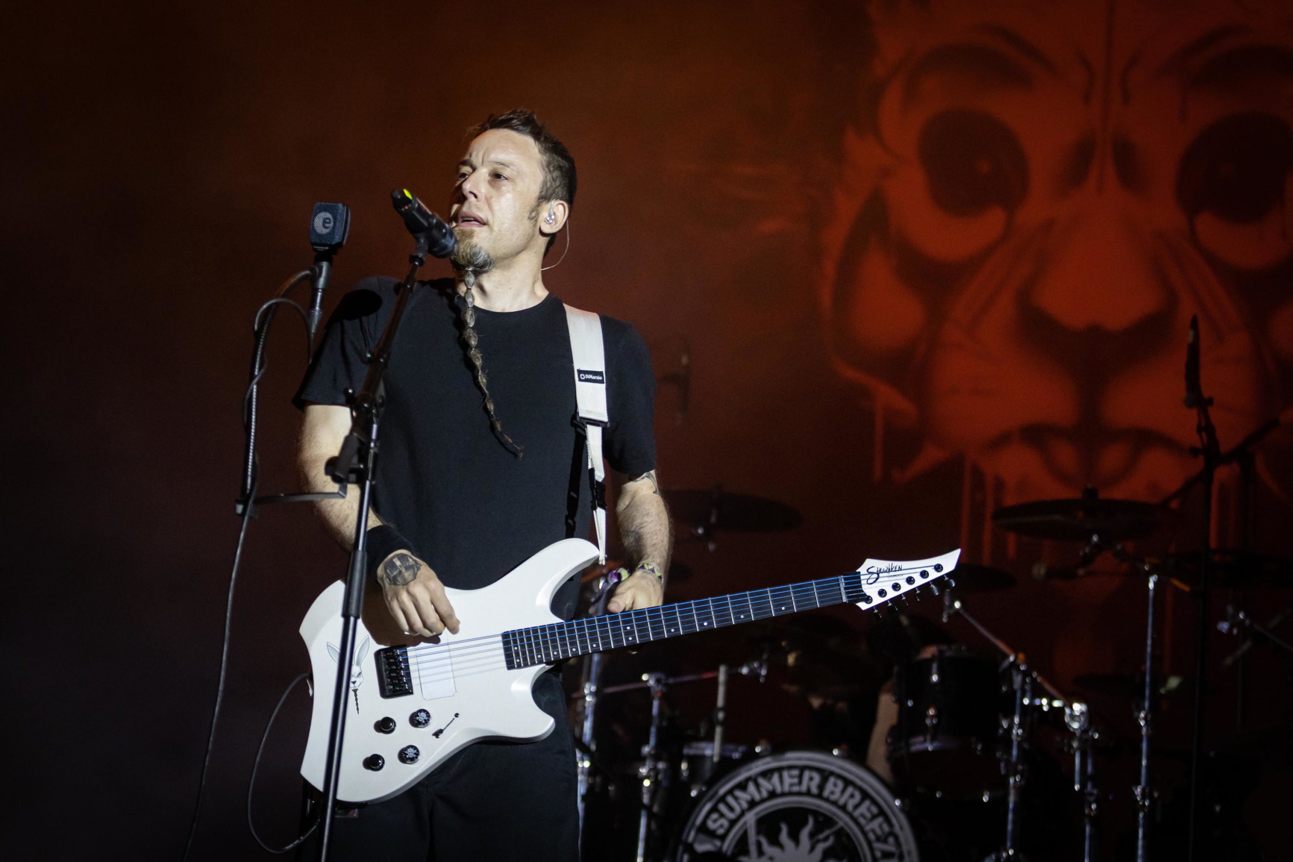 Frog Leap 17.08.2023