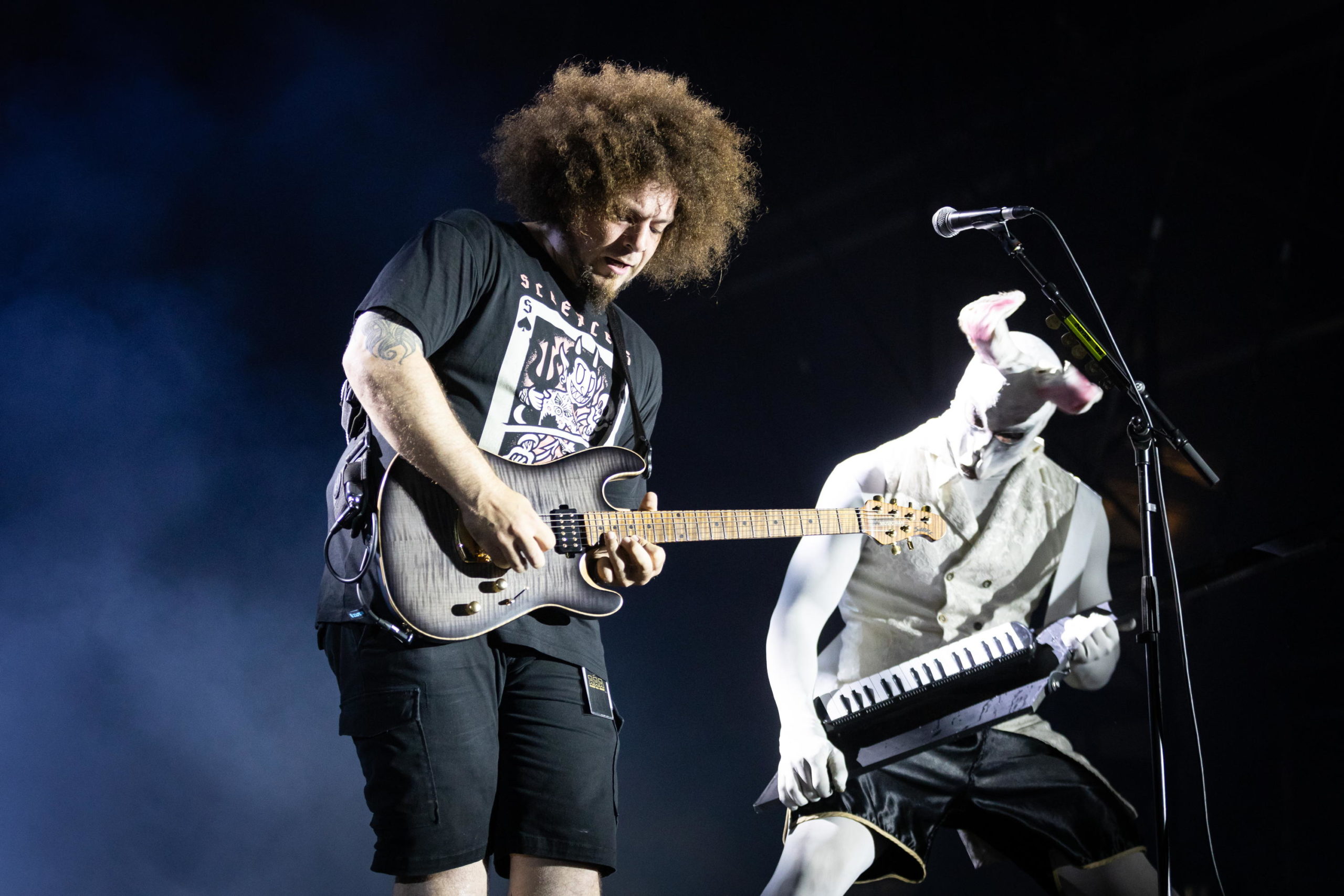 Frog Leap 17.08.2023