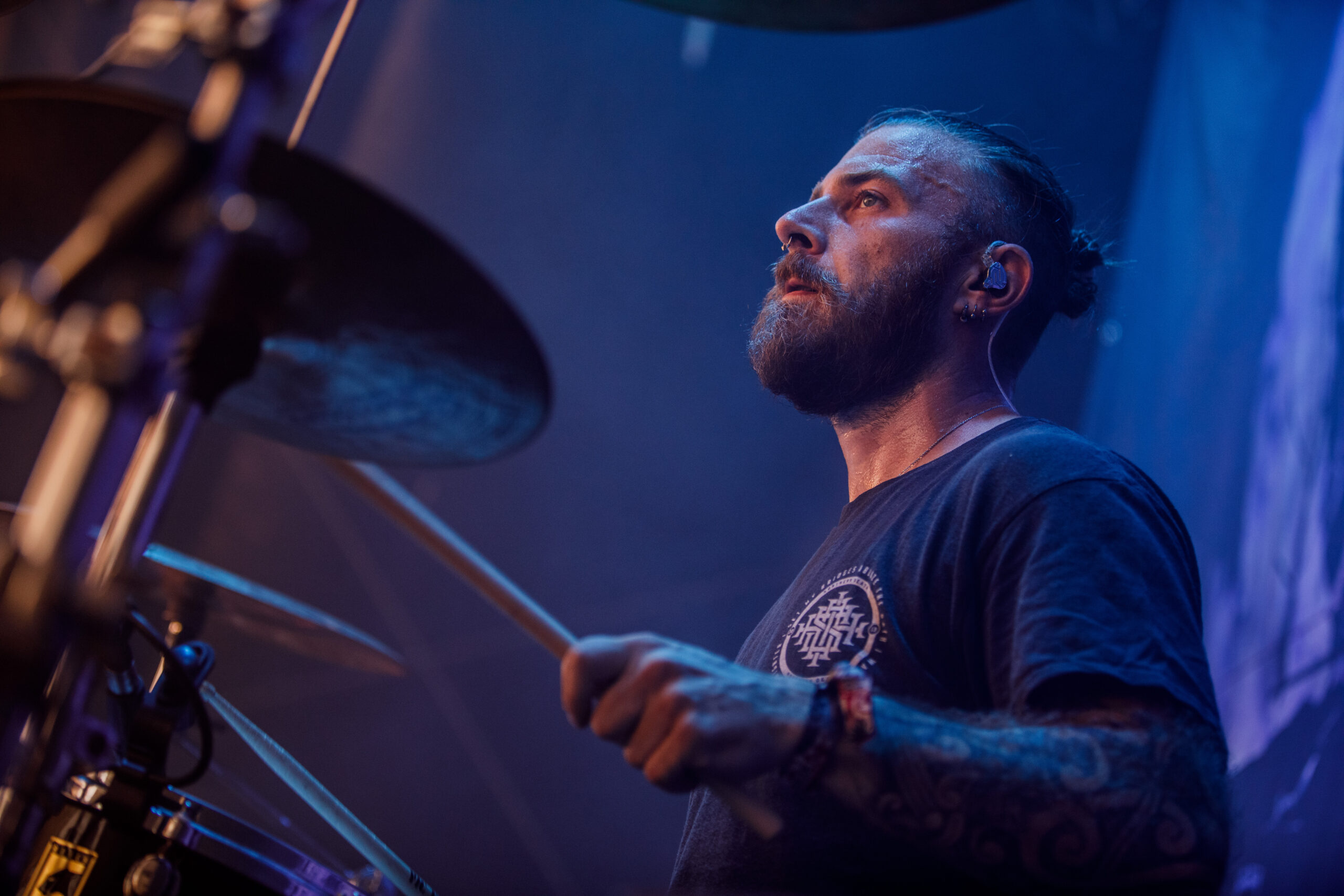 Necrotted 16.08.2024