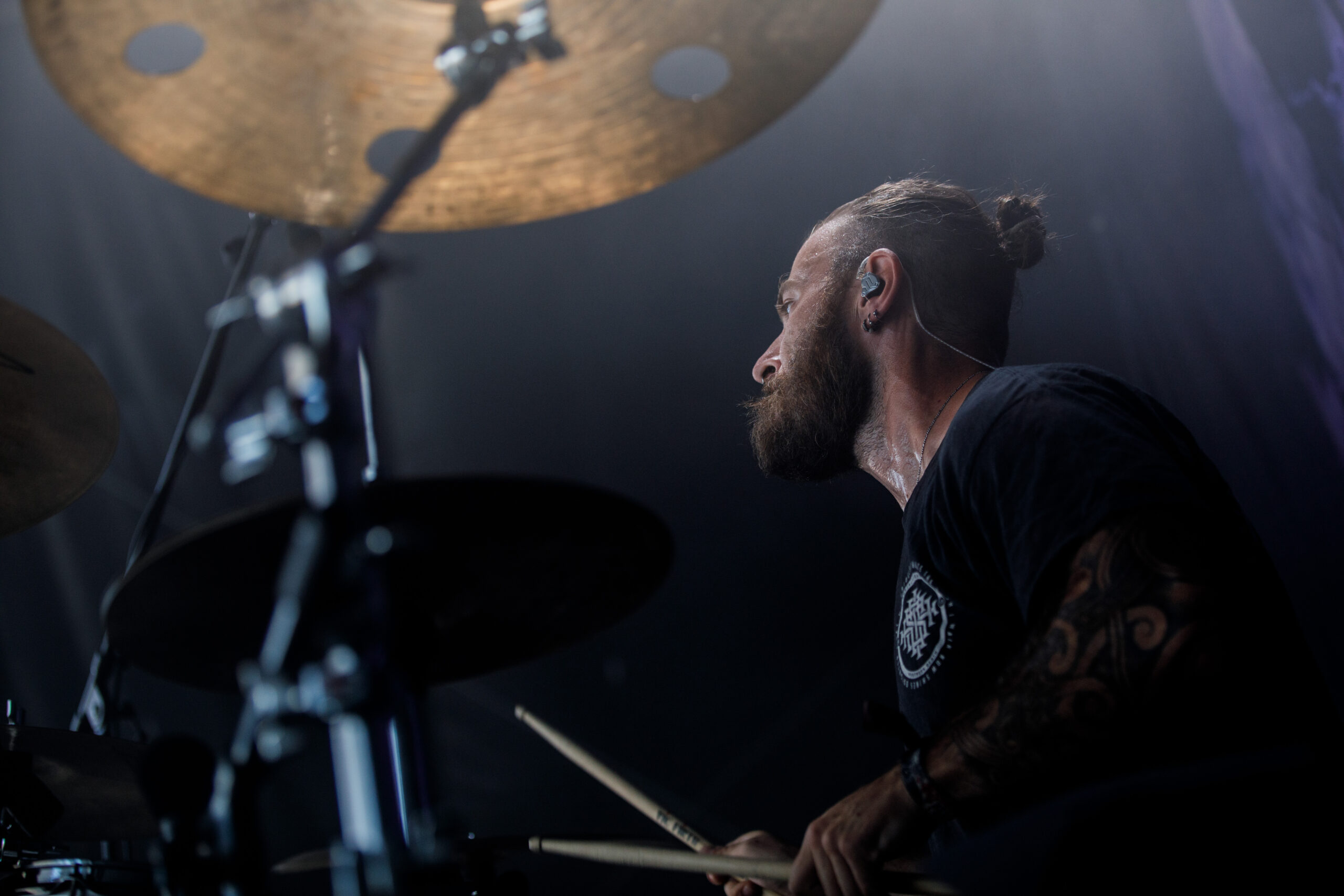 Necrotted 16.08.2024