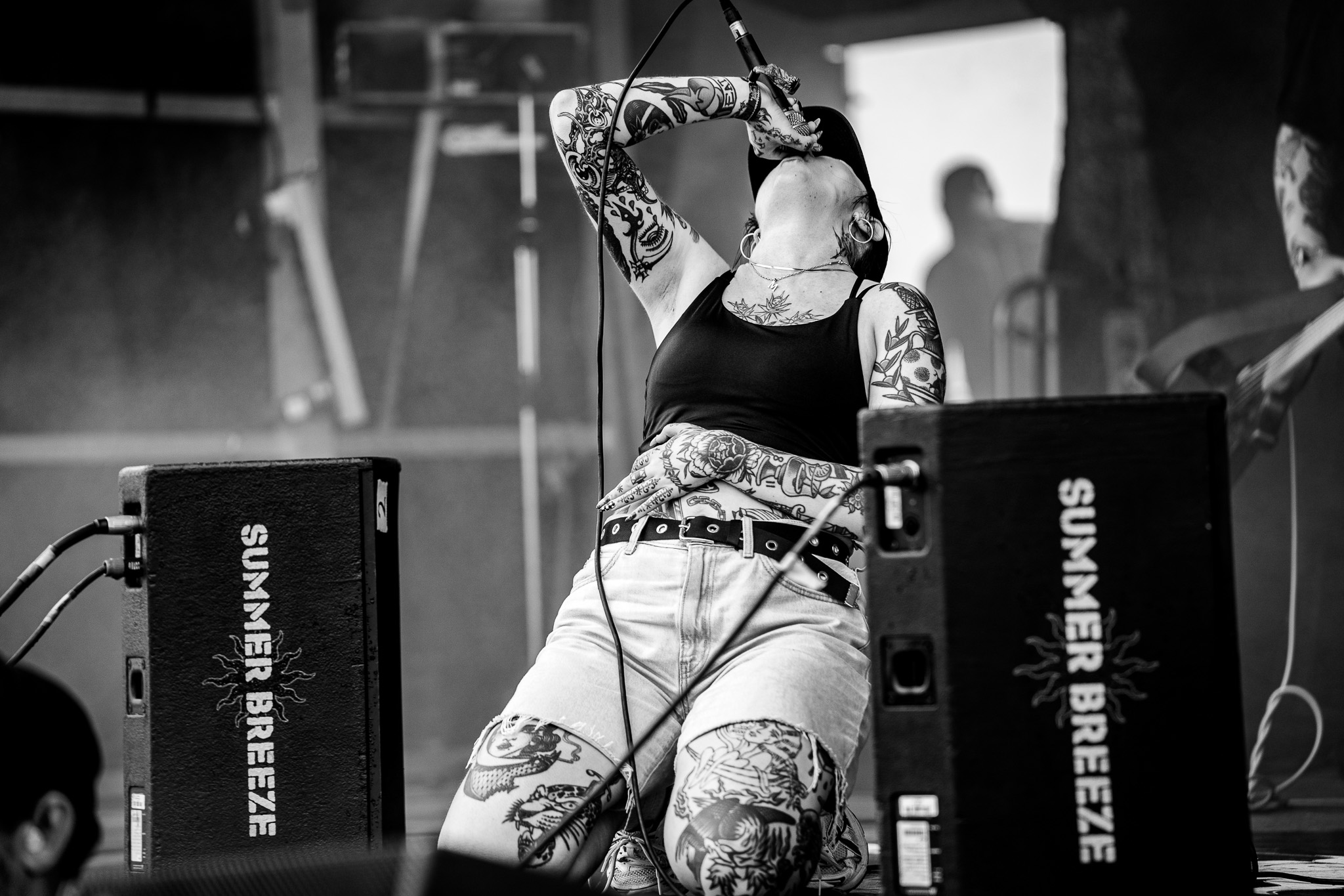 Bild vom Liveauftritt der Band Dogbite beim Summer Breeze 2025