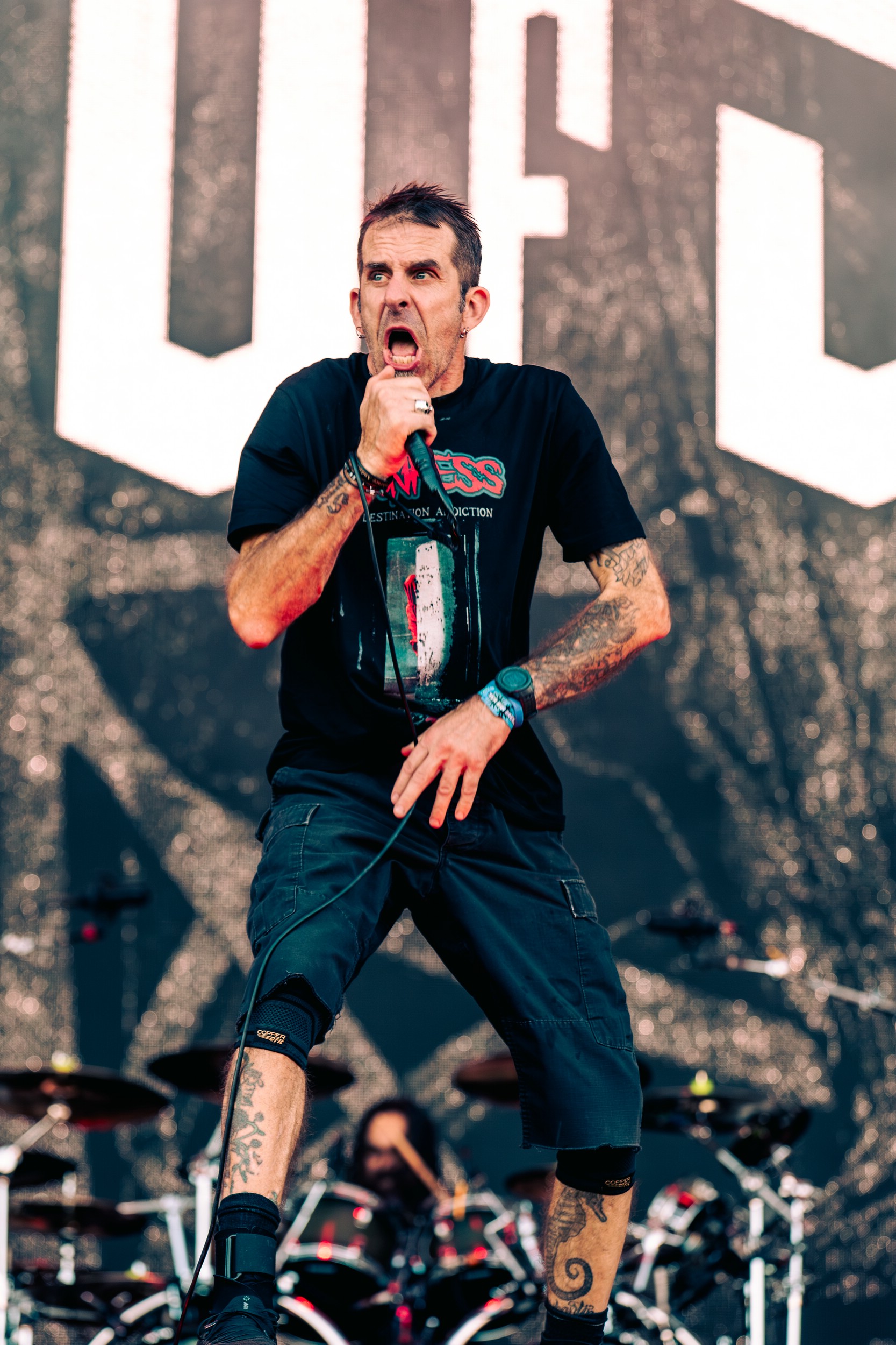 Lamb of God 14.08.2026
