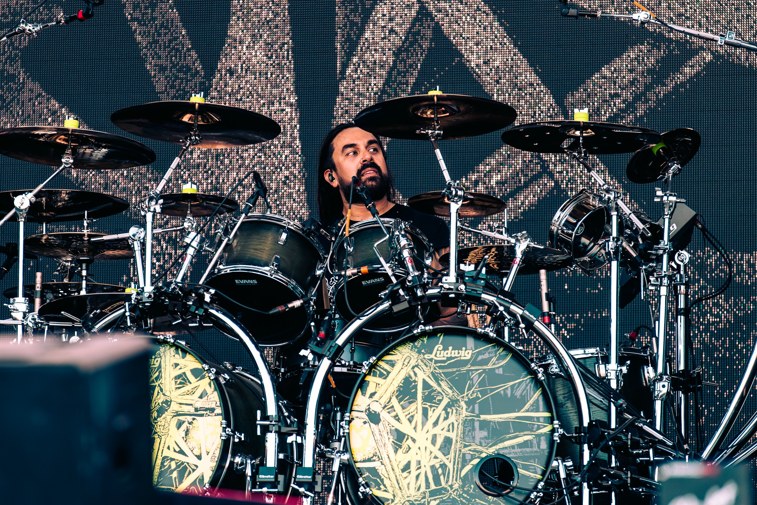 Lamb of God 14.08.2026